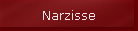 Narzisse