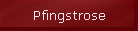 Pfingstrose