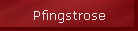 Pfingstrose