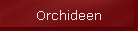 Orchideen